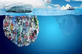 Ảnh hưởng rác thải nhựa đến môi trường