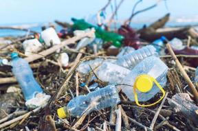 Hà Nội chống rác thải nhựa: Sức lan tỏa mạnh mẽ