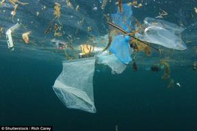 Chuyên gia cảnh báo: Rác nhựa trên đại dương sẽ tăng GẤP 3 LẦN trong 10 năm tới