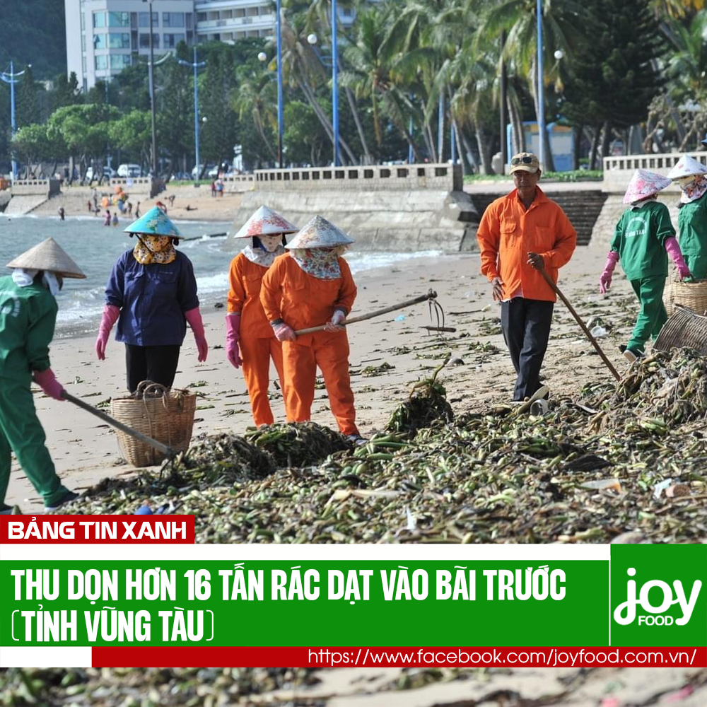 Hơn hàng chục tấn rác thải được dọn dẹp ở bờ biển Vũng Tàu
